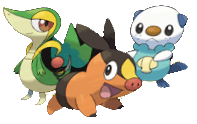 Startpokémon