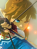BotW Link